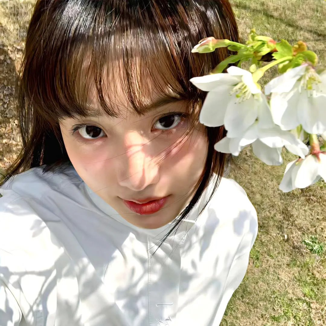 猪猪人：受困火腿中